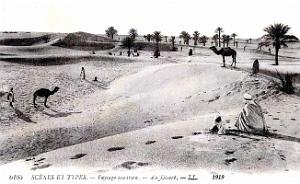 Algerie - Paysage Saharien - 1919
